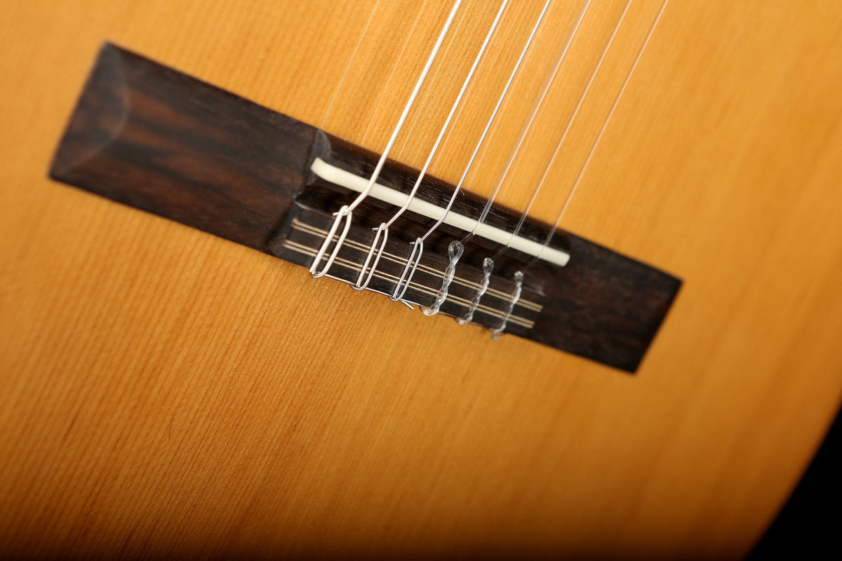 Cordoba C5 Classical Guitar - Acoustic Centre Music Store, Melbourne Australia