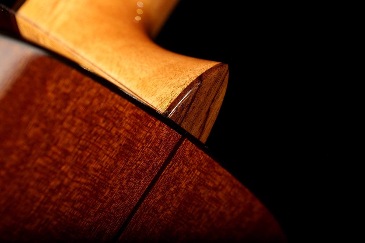 Cordoba C5 Classical Guitar - Acoustic Centre Music Store, Melbourne Australia