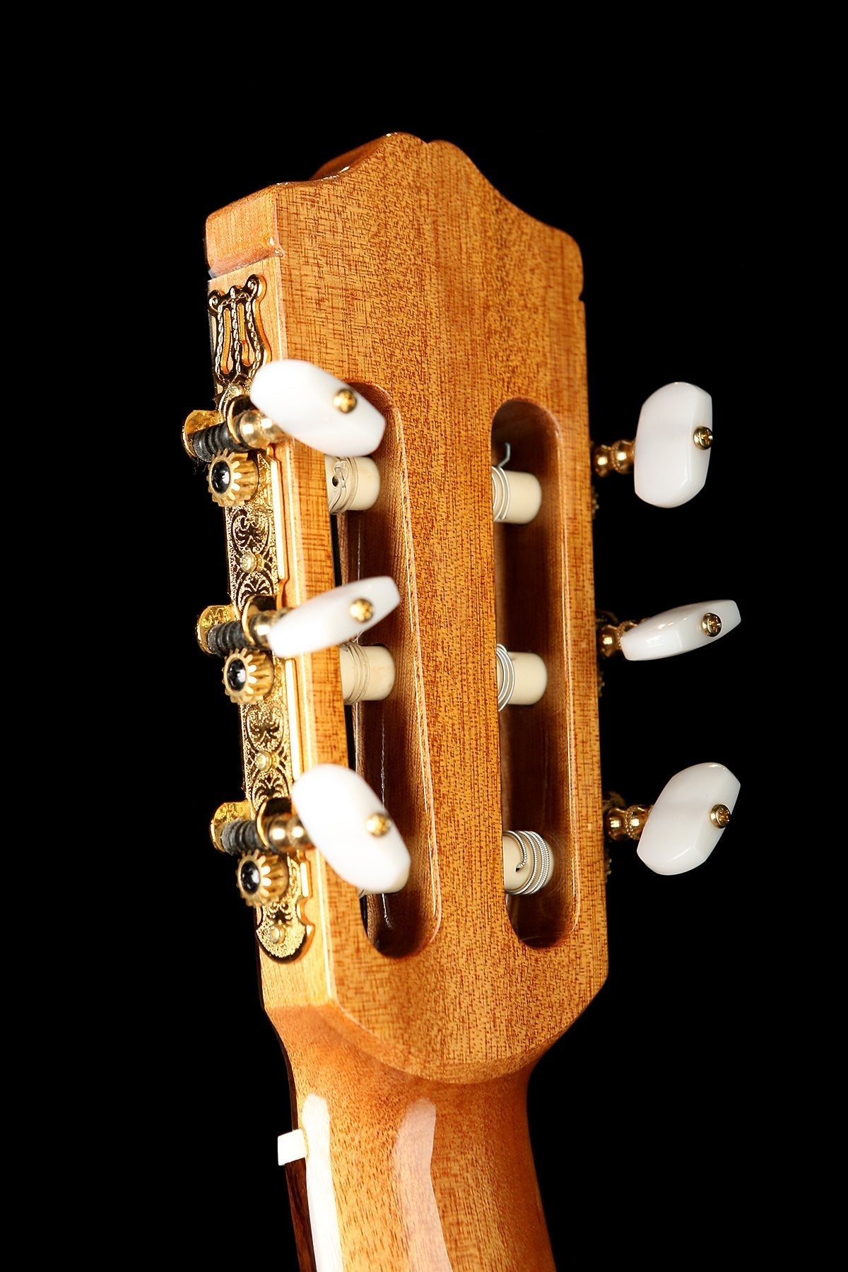 Cordoba C5 Classical Guitar - Acoustic Centre Music Store, Melbourne Australia