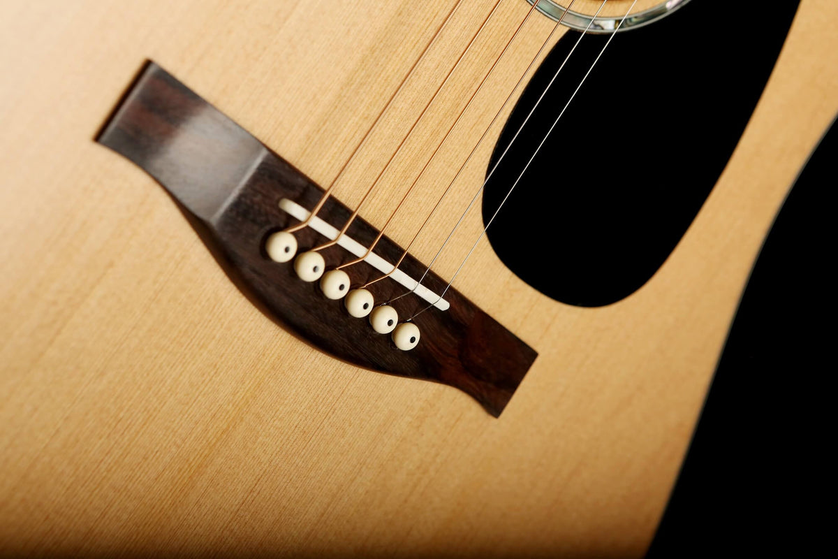 Eastman PCH1-D Acoustic Guitar - Acoustic Centre Music Store, Melbourne Australia