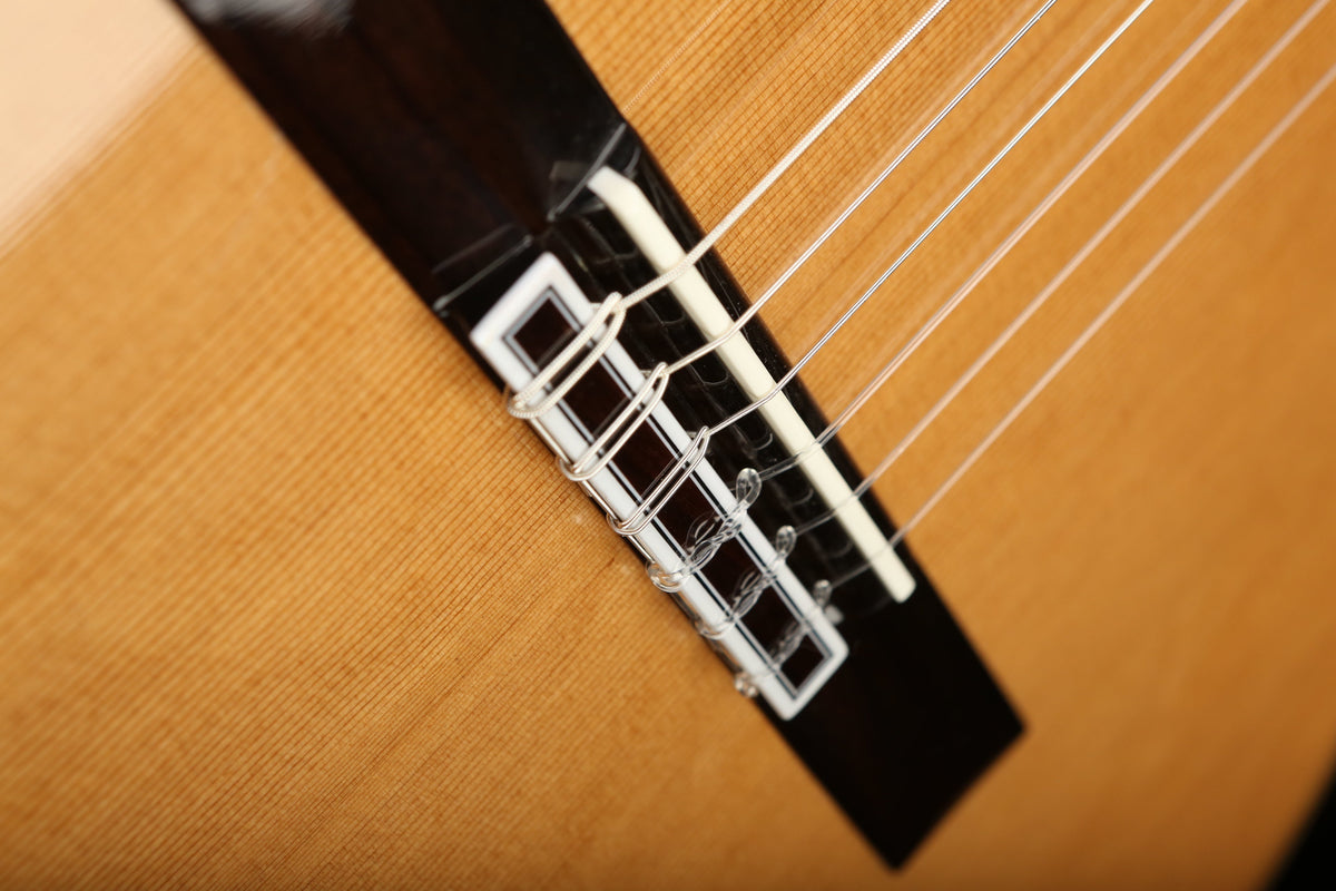 Cordoba C7 CD Cedar / Rosewood Classical Acoustic Guitar - Acoustic Centre Music Store, Melbourne Australia