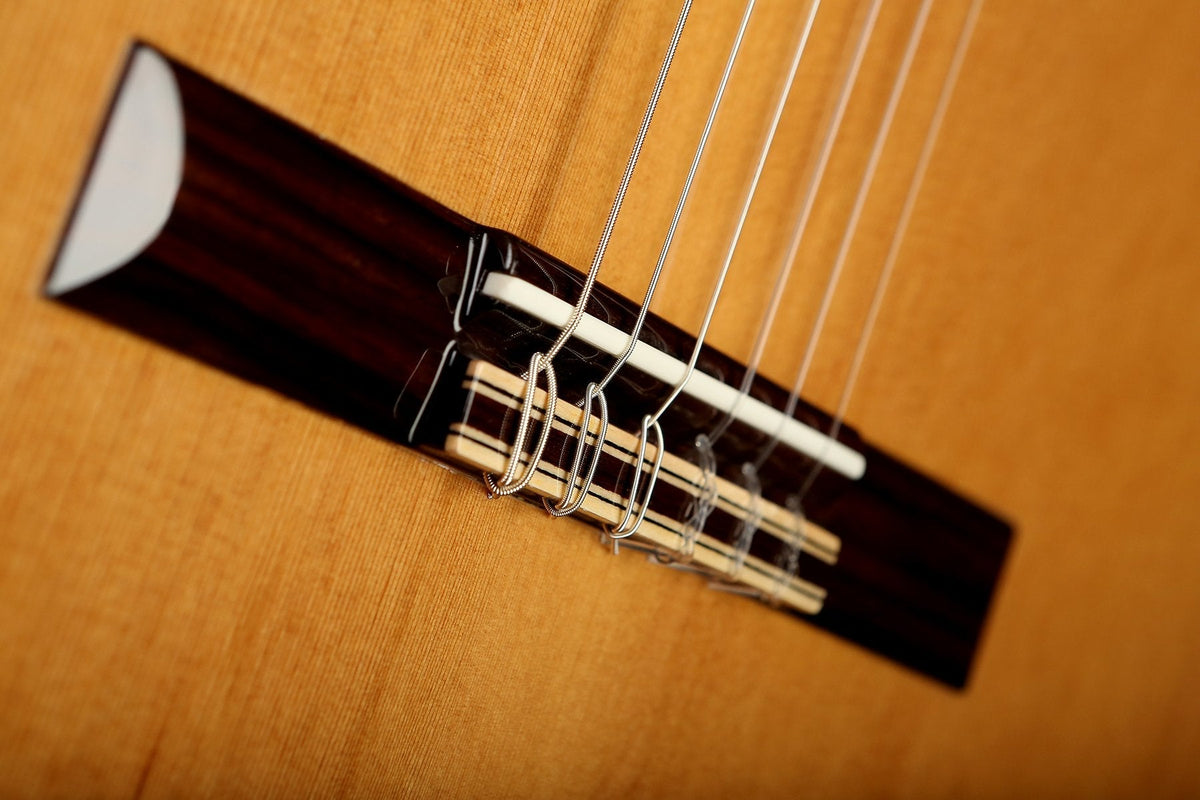 Altamira N300CE Classical Electric Guitar - Acoustic Centre Music Store, Melbourne Australia