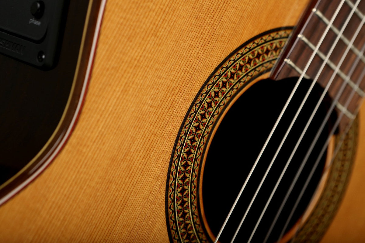 Altamira N300CE Classical Electric Guitar - Acoustic Centre Music Store, Melbourne Australia