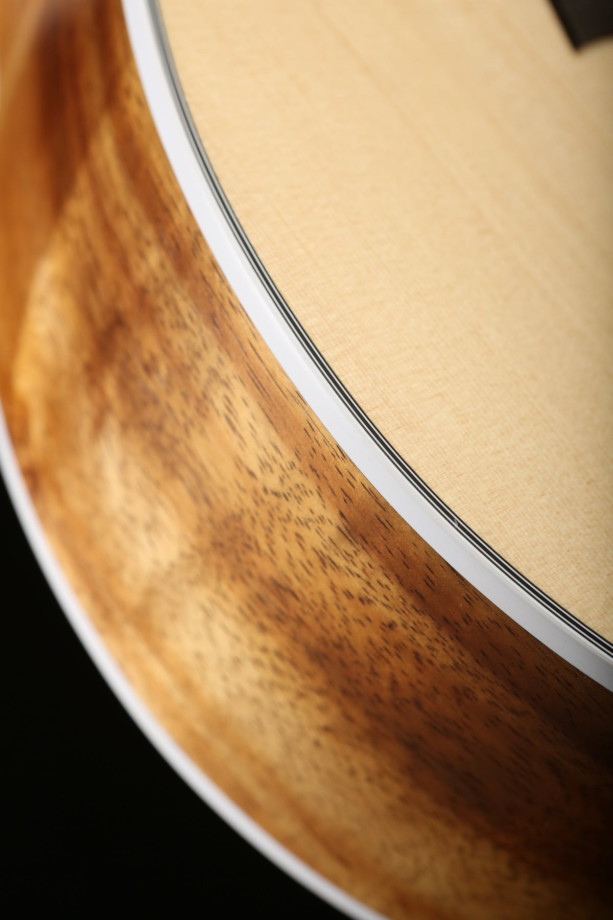 Taylor 214ce-K Koa Acoustic Electric Guitar - Acoustic Centre Music Store, Melbourne Australia