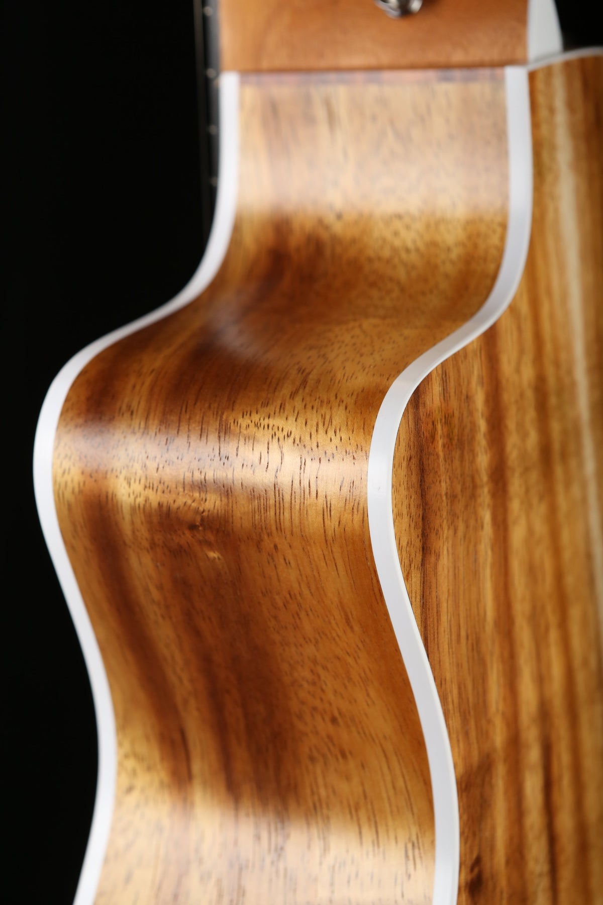 Taylor 214ce-K Koa Acoustic Electric Guitar - Acoustic Centre Music Store, Melbourne Australia