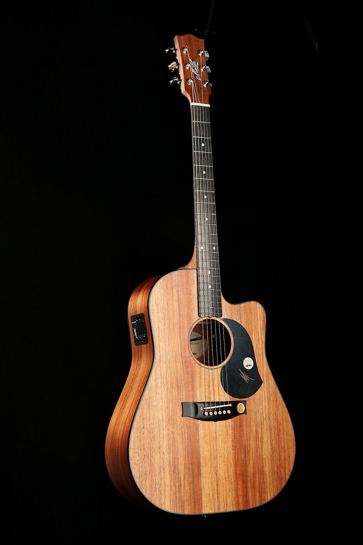 Maton EBW70C Blackwood Acoustic Electric Guitar - Acoustic Centre Music Store, Melbourne Australia