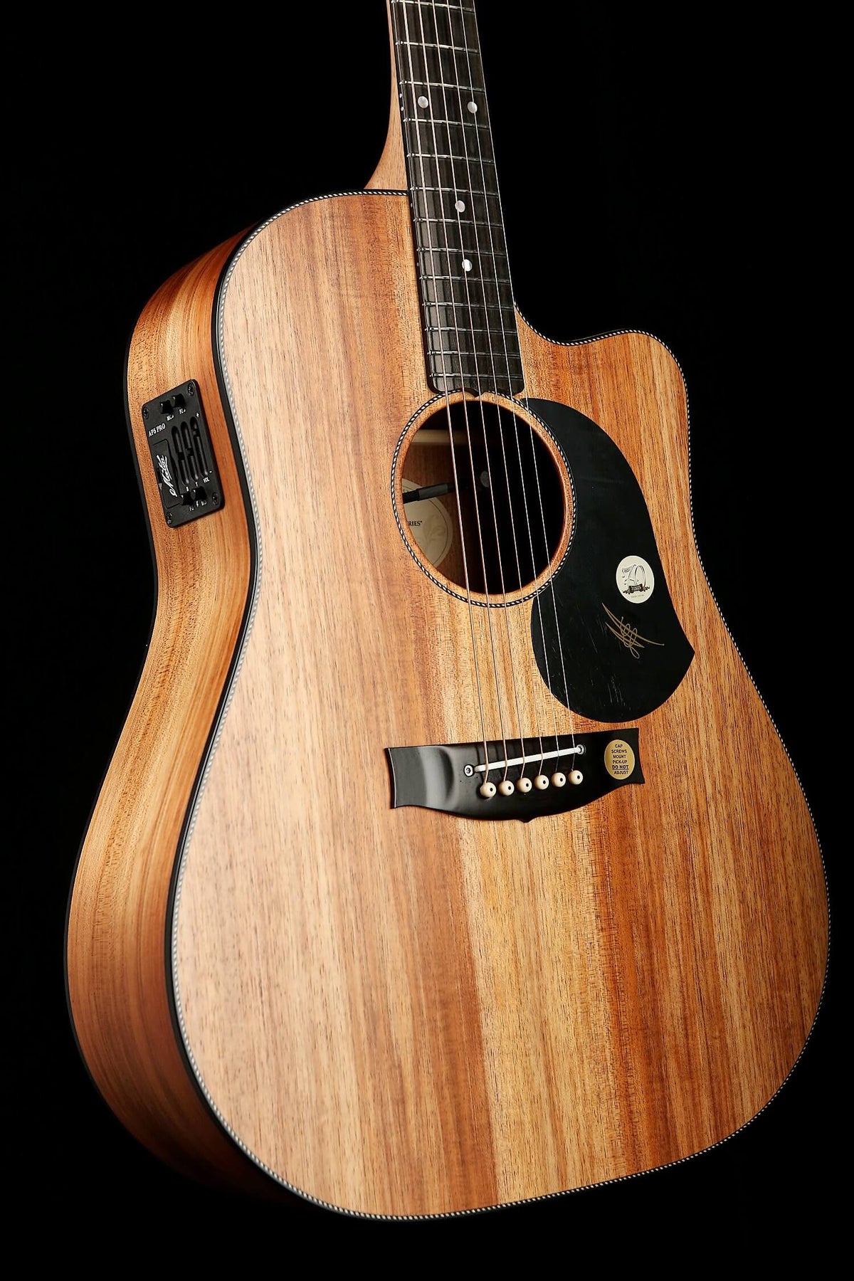 Maton EBW70C Blackwood Acoustic Electric Guitar - Acoustic Centre Music Store, Melbourne Australia