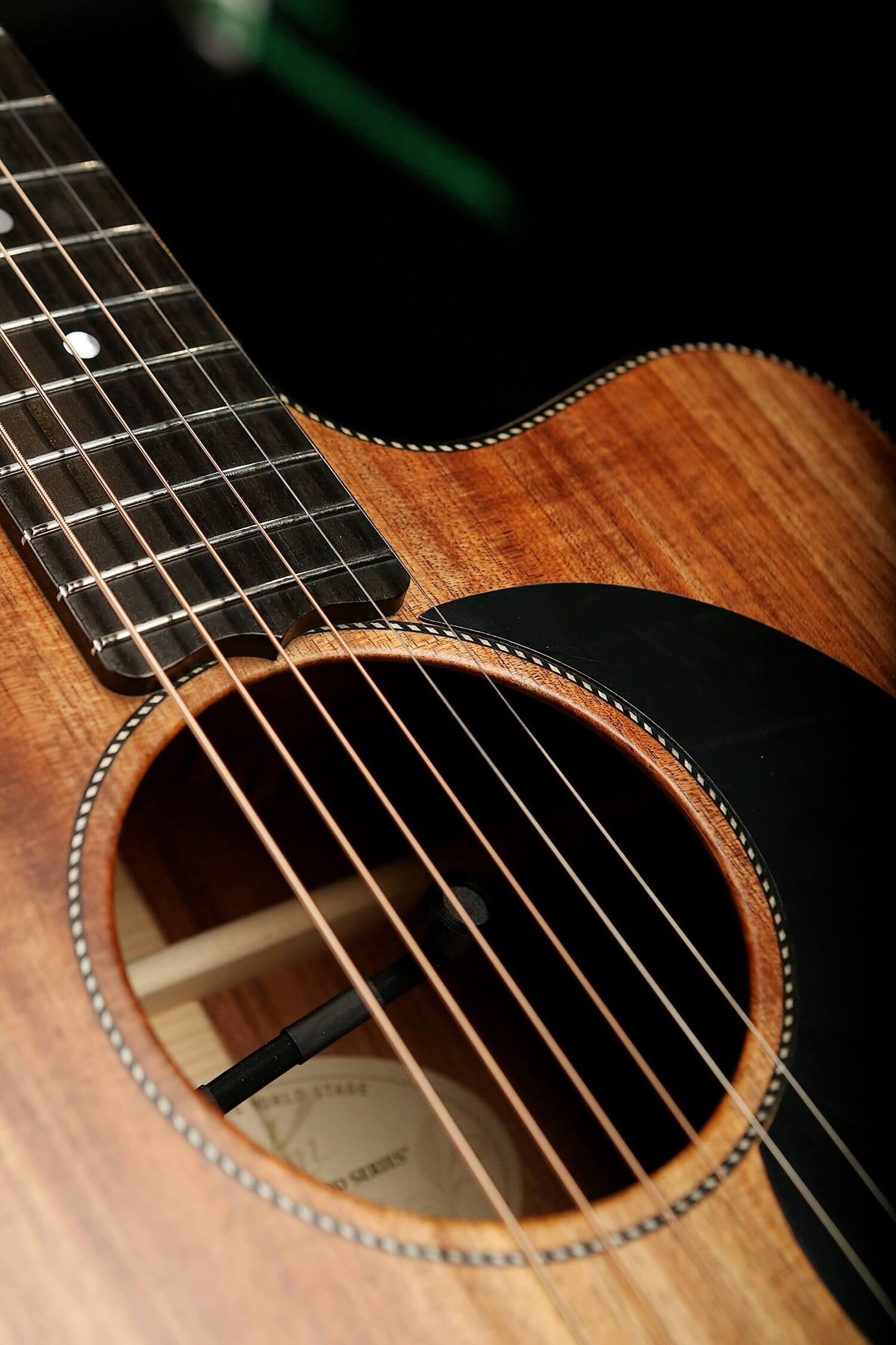 Maton EBW70C Blackwood Acoustic Electric Guitar - Acoustic Centre Music Store, Melbourne Australia