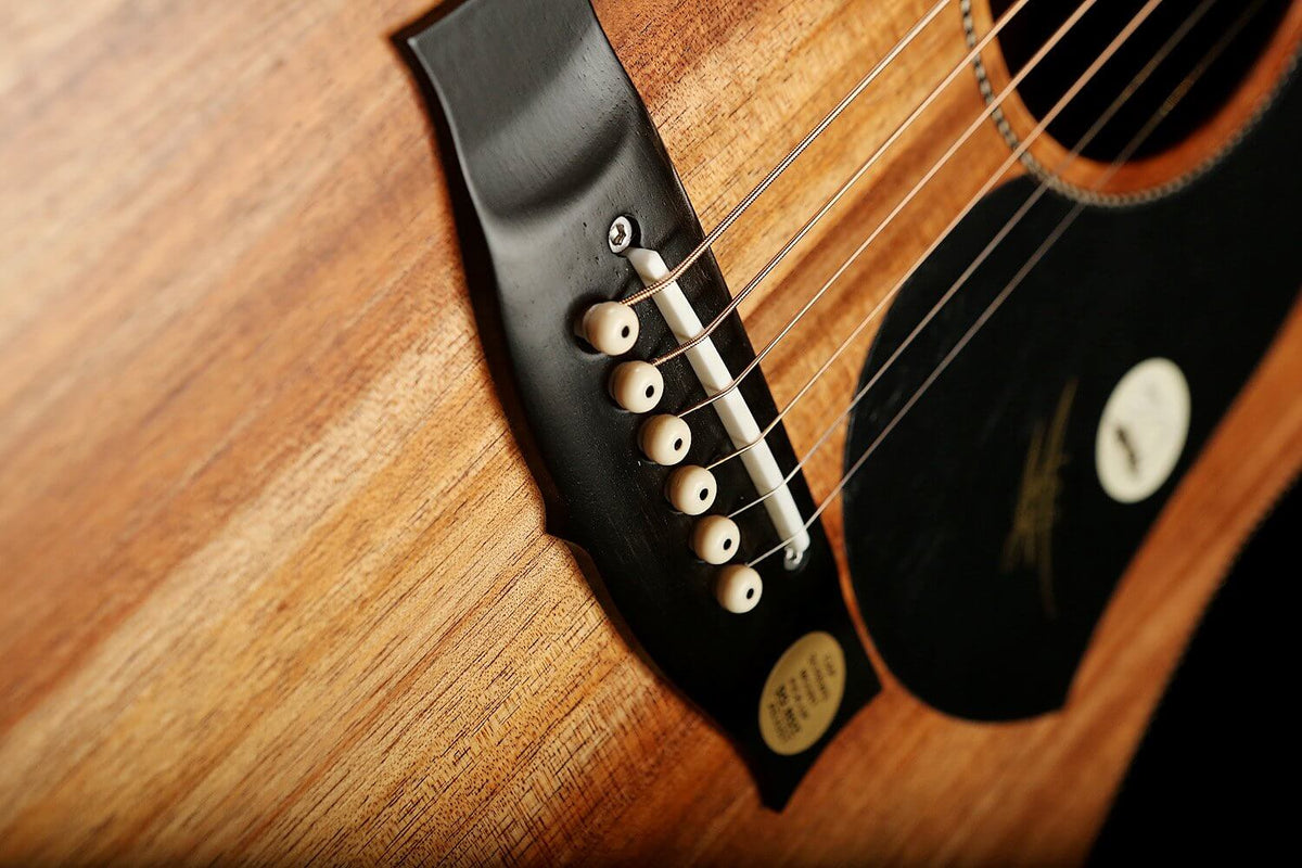 Maton EBW70C Blackwood Acoustic Electric Guitar - Acoustic Centre Music Store, Melbourne Australia