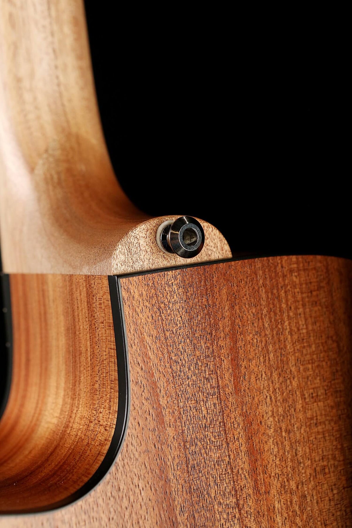 Maton EBW70C Blackwood Acoustic Electric Guitar - Acoustic Centre Music Store, Melbourne Australia