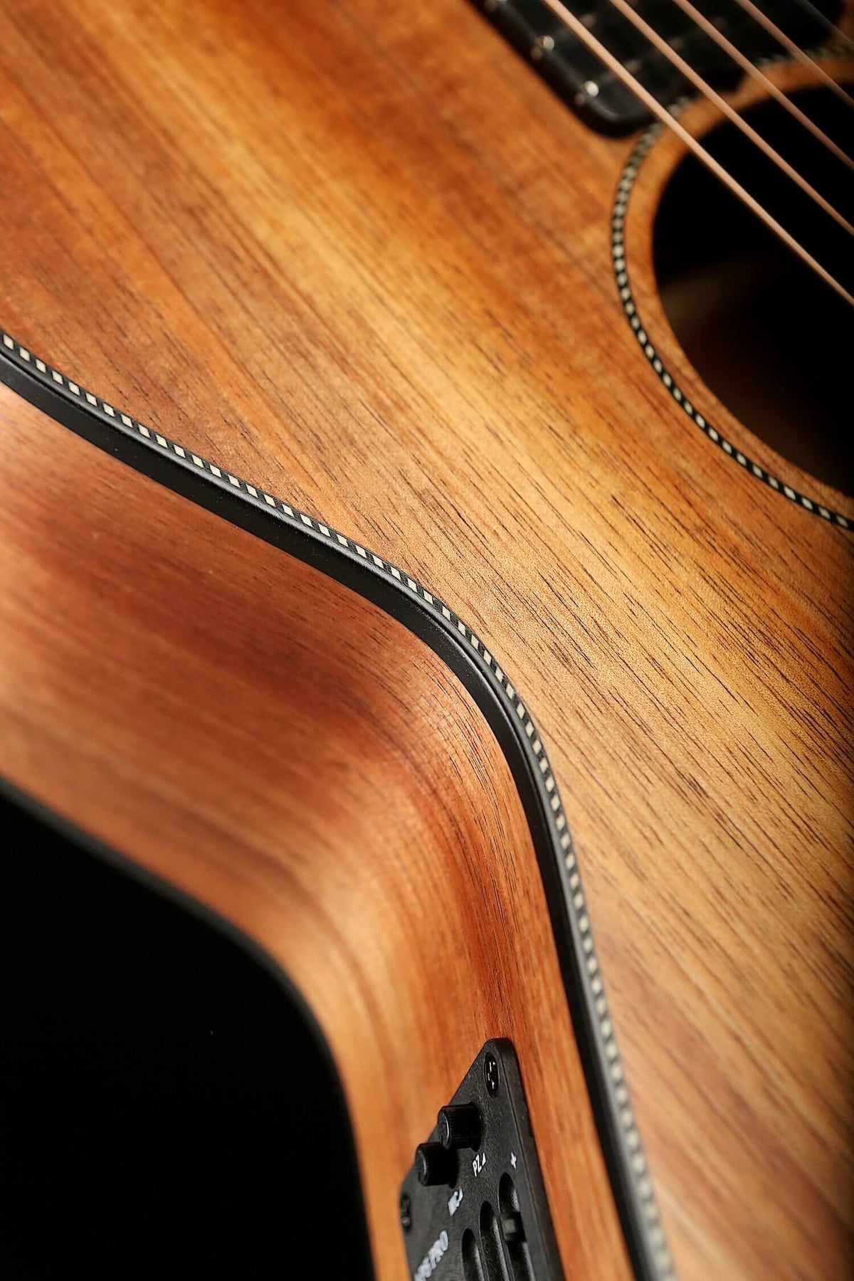 Maton EBW808 Blackwood Acoustic Electric Guitar - Acoustic Centre Music Store, Melbourne Australia