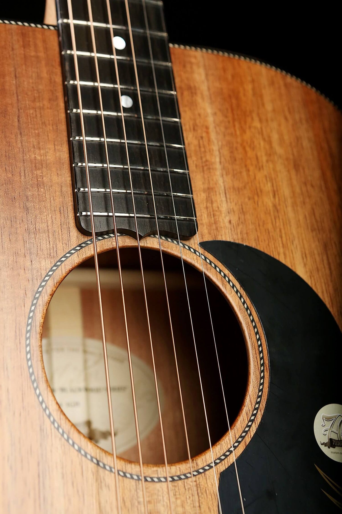 Maton EBW808 Blackwood Acoustic Electric Guitar - Acoustic Centre Music Store, Melbourne Australia