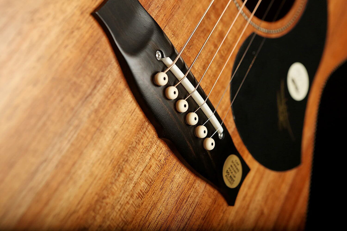 Maton EBW808 Blackwood Acoustic Electric Guitar - Acoustic Centre Music Store, Melbourne Australia