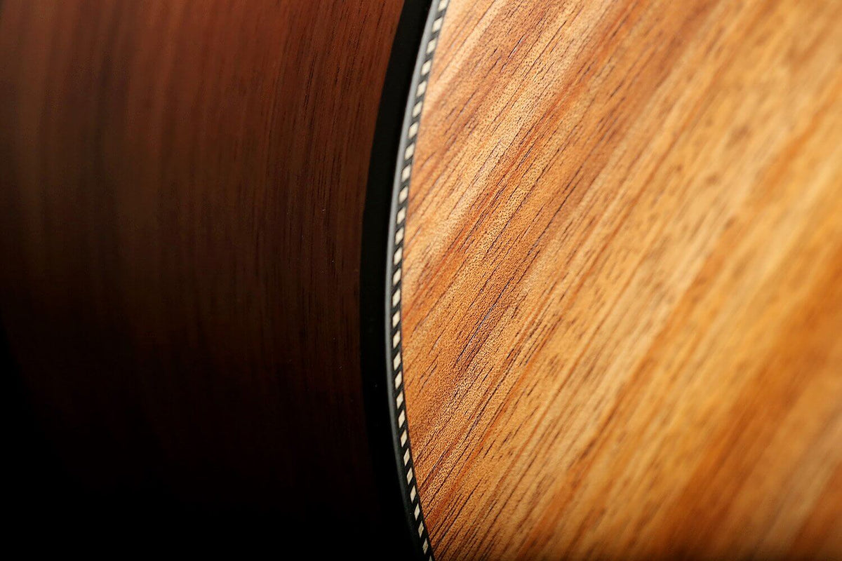 Maton EBW808 Blackwood Acoustic Electric Guitar - Acoustic Centre Music Store, Melbourne Australia