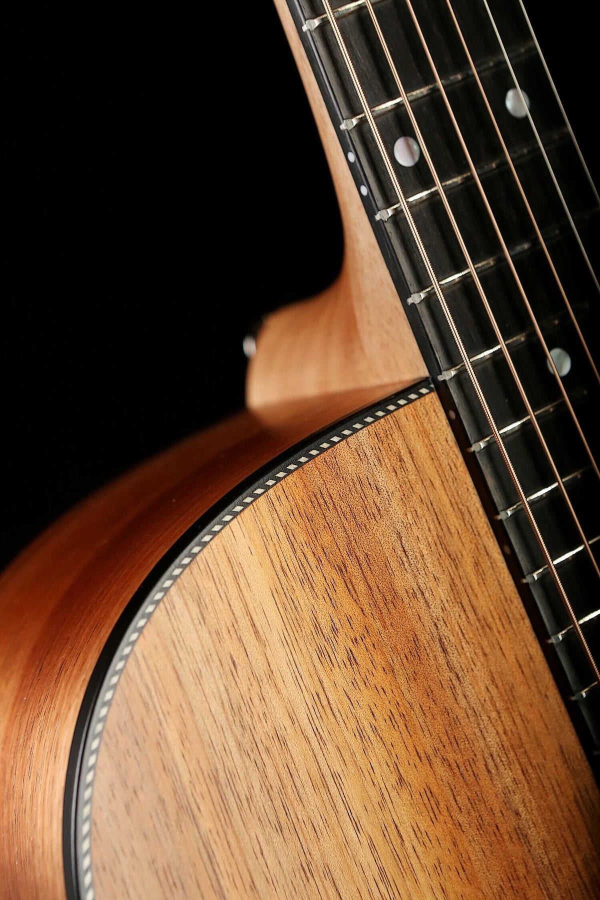 Maton EBW808 Blackwood Acoustic Electric Guitar - Acoustic Centre Music Store, Melbourne Australia