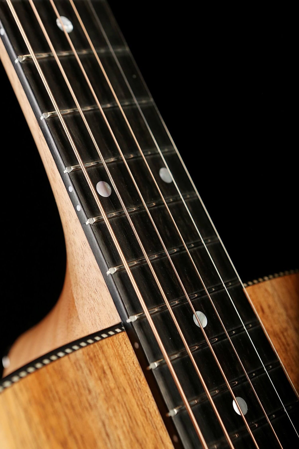 Maton EBW808 Blackwood Acoustic Electric Guitar - Acoustic Centre Music Store, Melbourne Australia