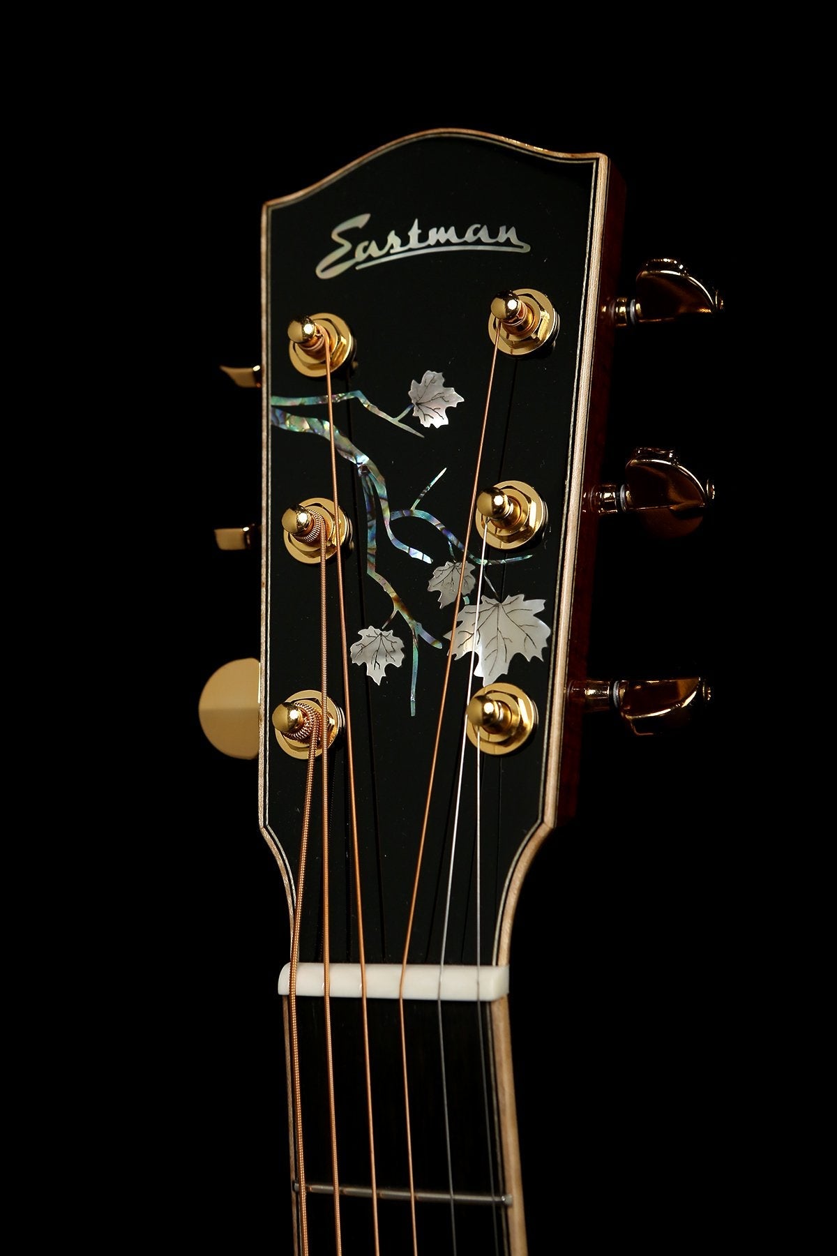 Eastman AC622CE Grand Auditorium Acoustic Electric Guitar - Acoustic Centre Music Store, Melbourne Australia