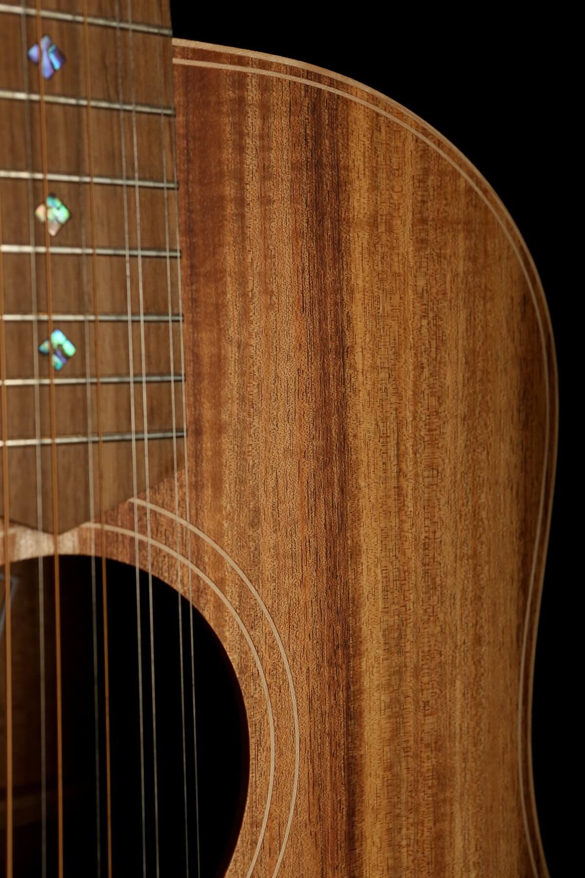 Cole Clark &#39;Fat Lady&#39; FL2E-12 Blackwood / Blackwood 12-String Acoustic Electric Guitar - Acoustic Centre Music Store, Melbourne Australia