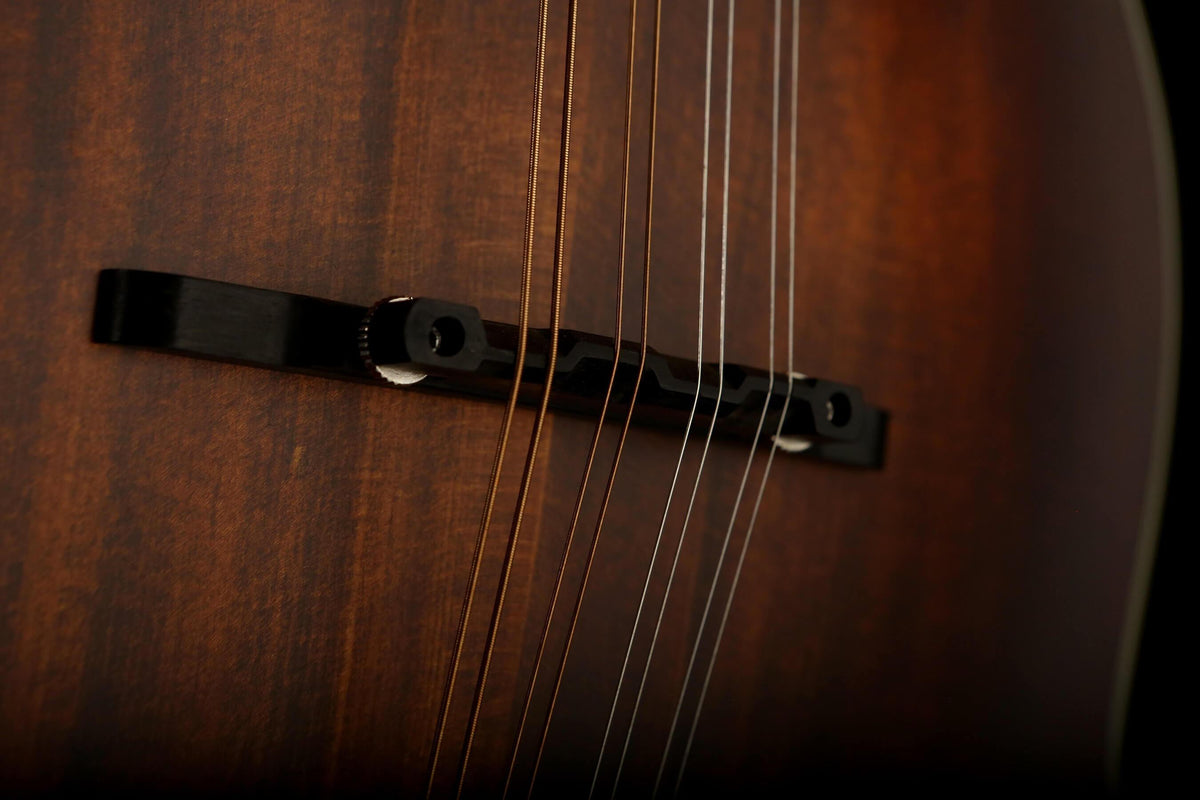 Eastman MD314 F-Style Mandolin - Acoustic Centre Music Store, Melbourne Australia