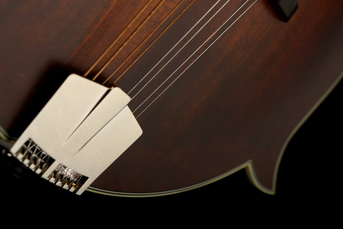 Eastman MD314 F-Style Mandolin - Acoustic Centre Music Store, Melbourne Australia