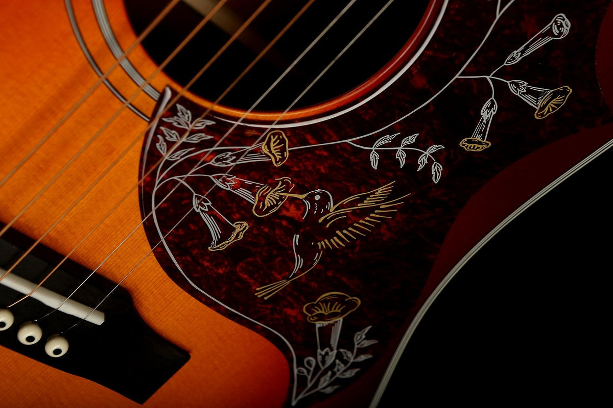 Sigma SDM-SG5 All Solid Acoustic Electric Guitar - Acoustic Centre Music Store, Melbourne Australia