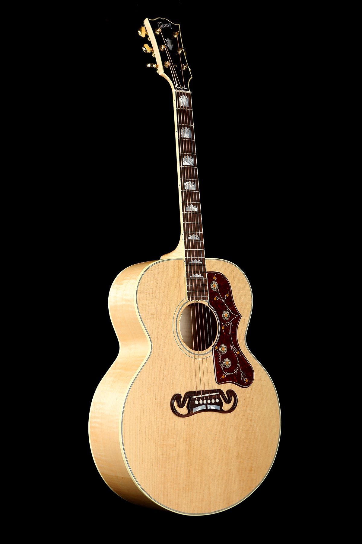 Gibson and Epiphone Guitars