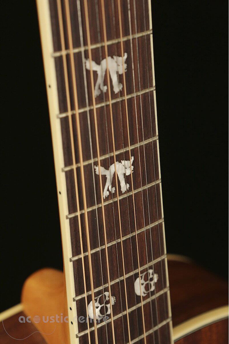 Fender Tim Armstrong Hellcat 12-String Acoustic Guitar - Acoustic Centre Music Store, Melbourne Australia