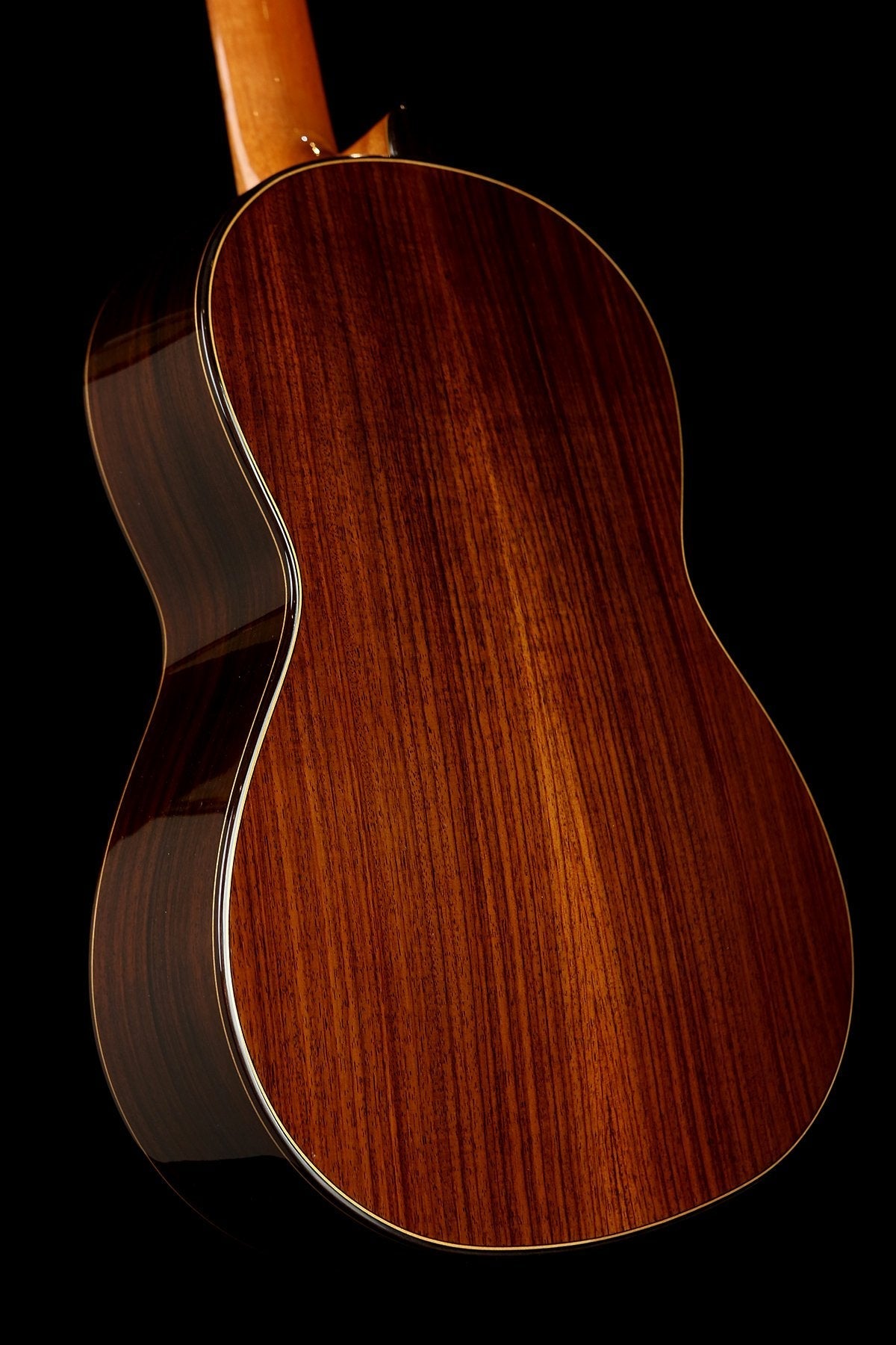 William Falkiner Guitar - ce014ao