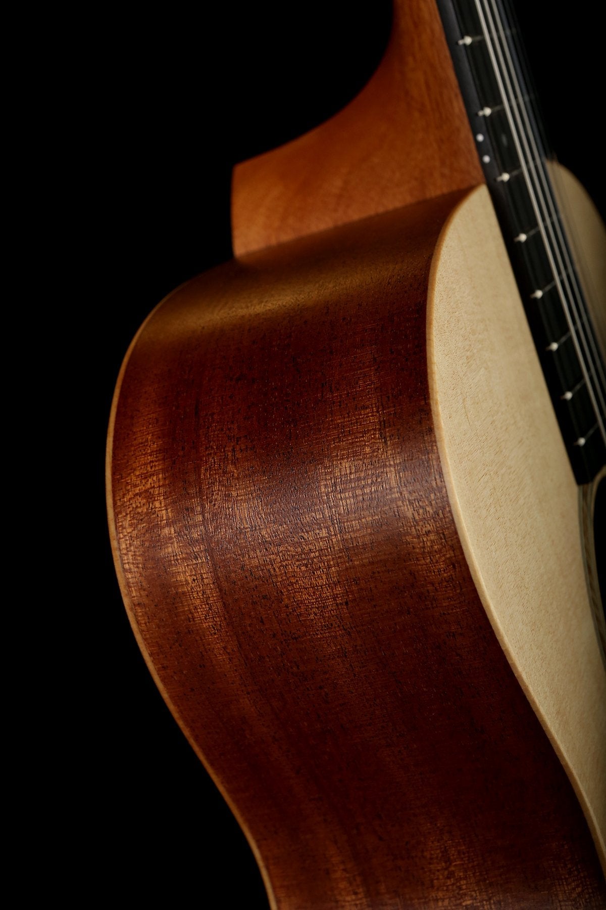 Taylor Academy 12-N Classical Guitar - Acoustic Centre Music Store, Melbourne Australia