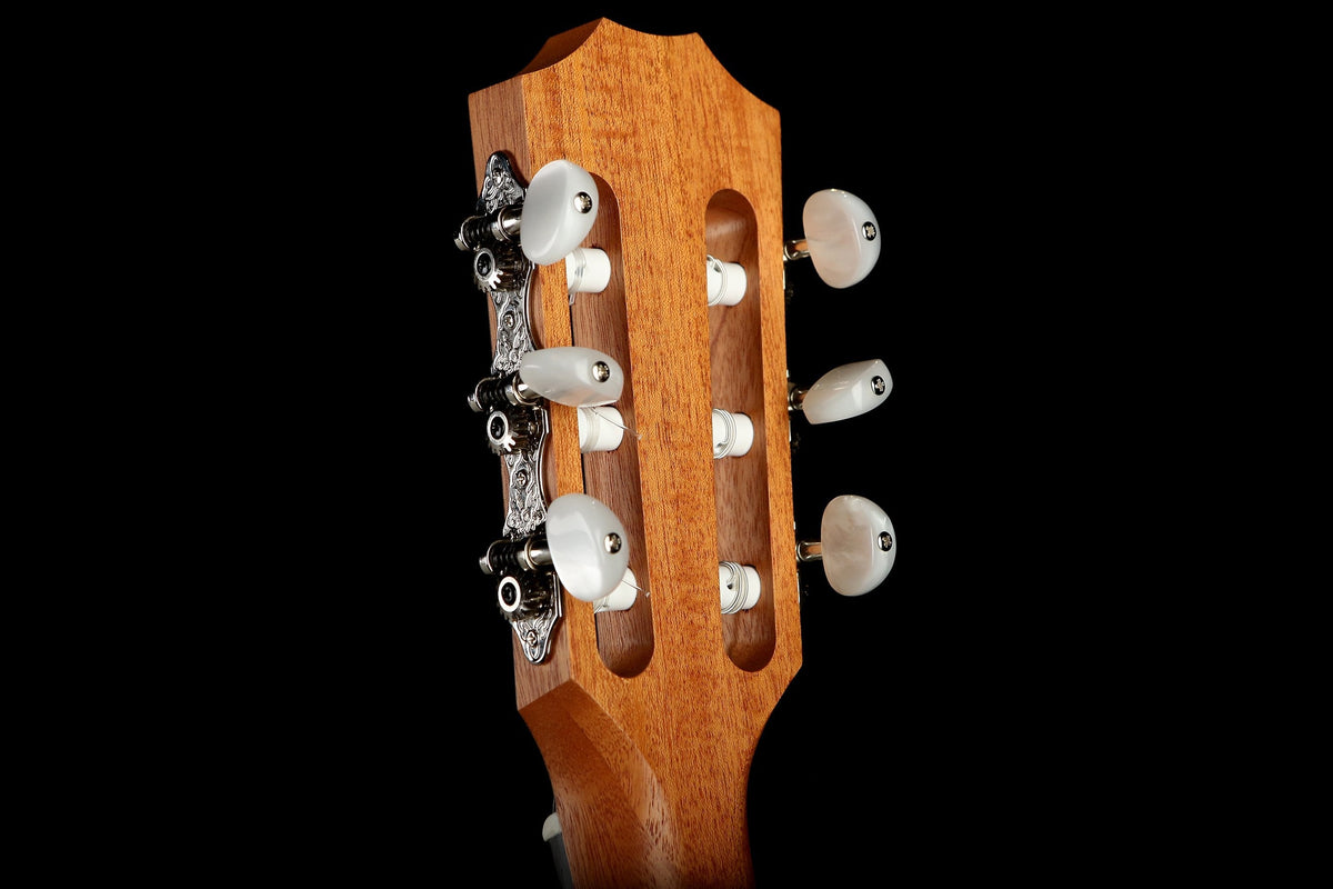 Taylor Academy 12-N Classical Guitar - Acoustic Centre Music Store, Melbourne Australia