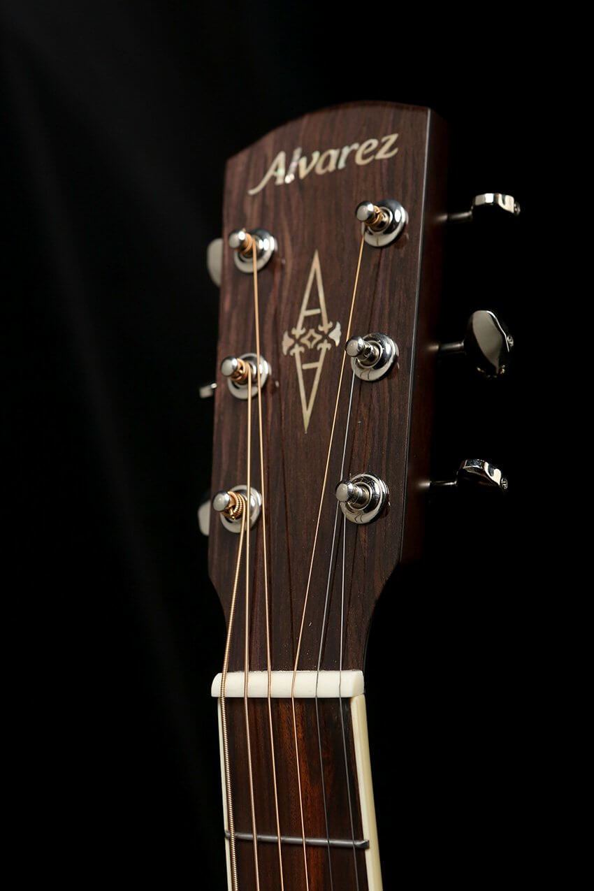 Alvarez MD60EBG Acoustic Electric Guitar - Acoustic Centre Music Store, Melbourne Australia