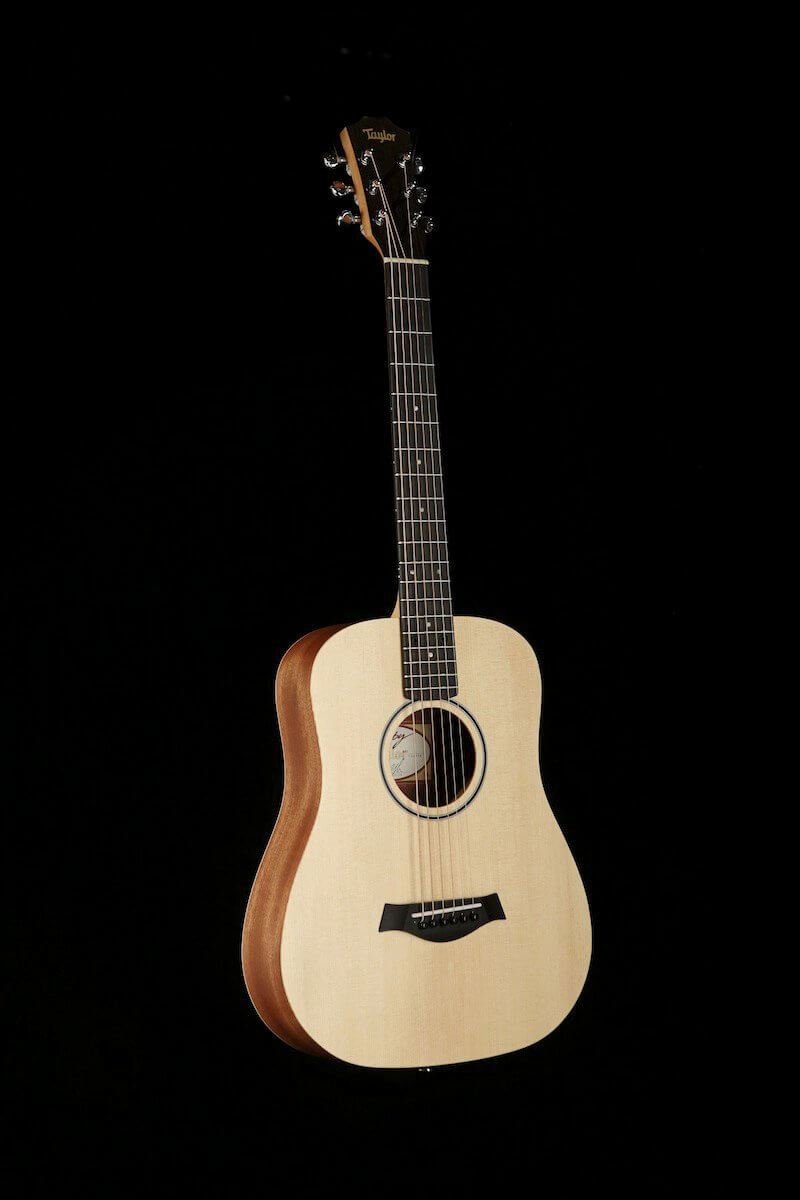 Taylor GOGO BT1