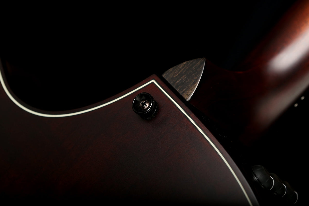 Taylor 324ce Builder&#39;s Edition V-Class Acoustic Electric Guitar - Acoustic Centre Music Store, Melbourne Australia