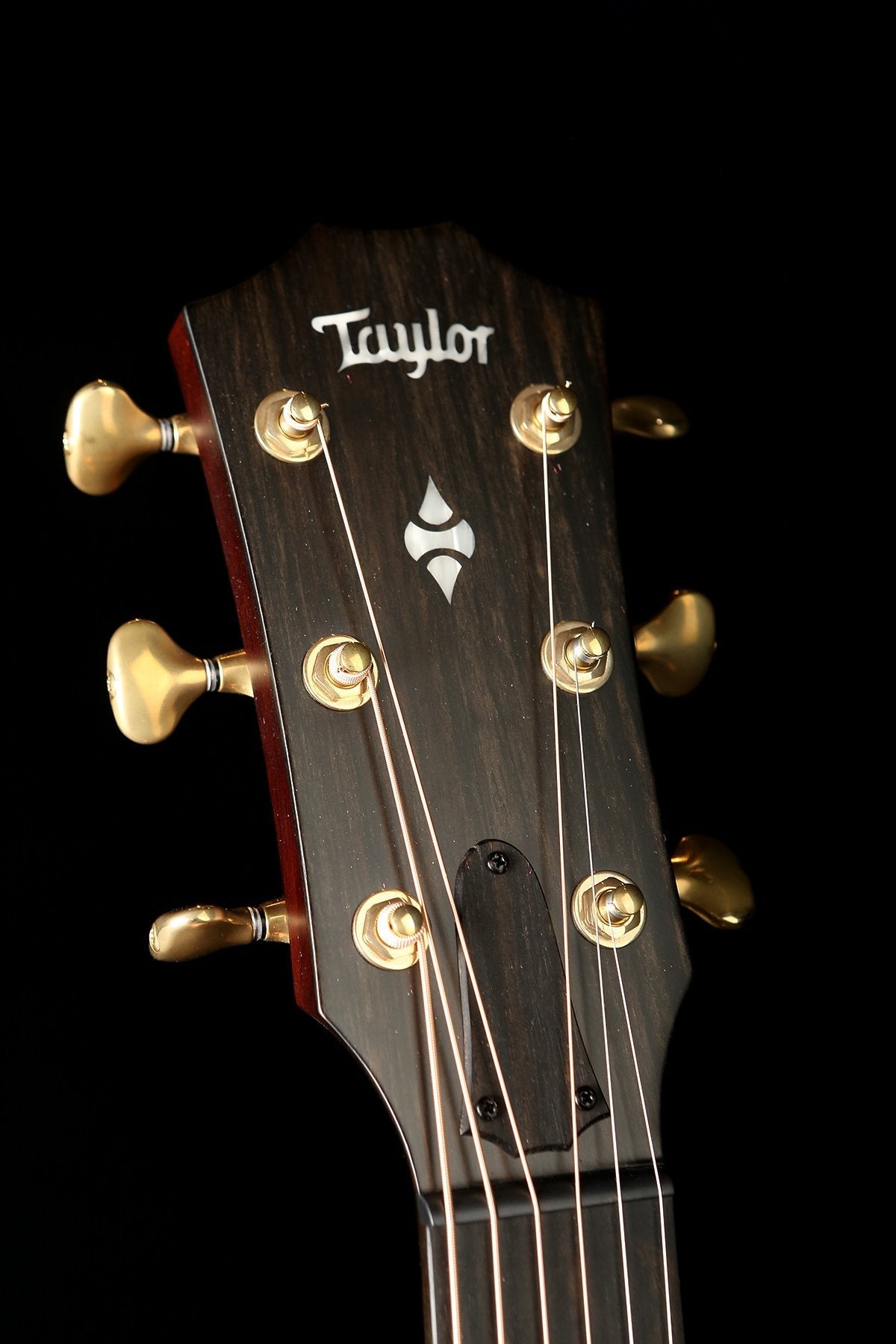 Taylor 324ce Builder&#39;s Edition V-Class Acoustic Electric Guitar - Acoustic Centre Music Store, Melbourne Australia