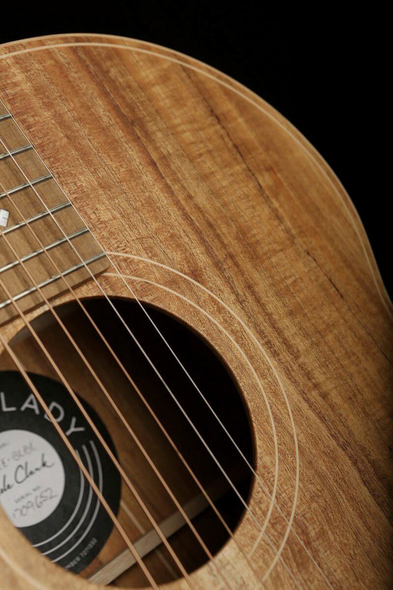 Cole Clark 'Little Lady' 2 Blackwood / Blackwood Acoustic Electric Guitar