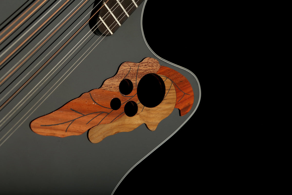 Ovation CE4412-5 Celebrity Elite Black 12-String Acoustic Electric Guitar - Acoustic Centre Music Store, Melbourne Australia