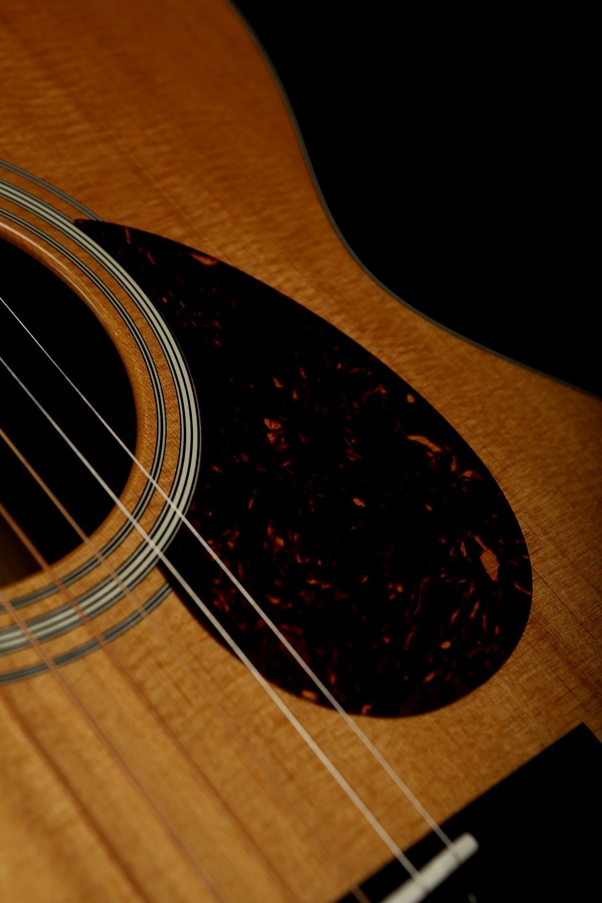 Eastman E6OM-TC Acoustic Guitar - Acoustic Centre Music Store, Melbourne Australia