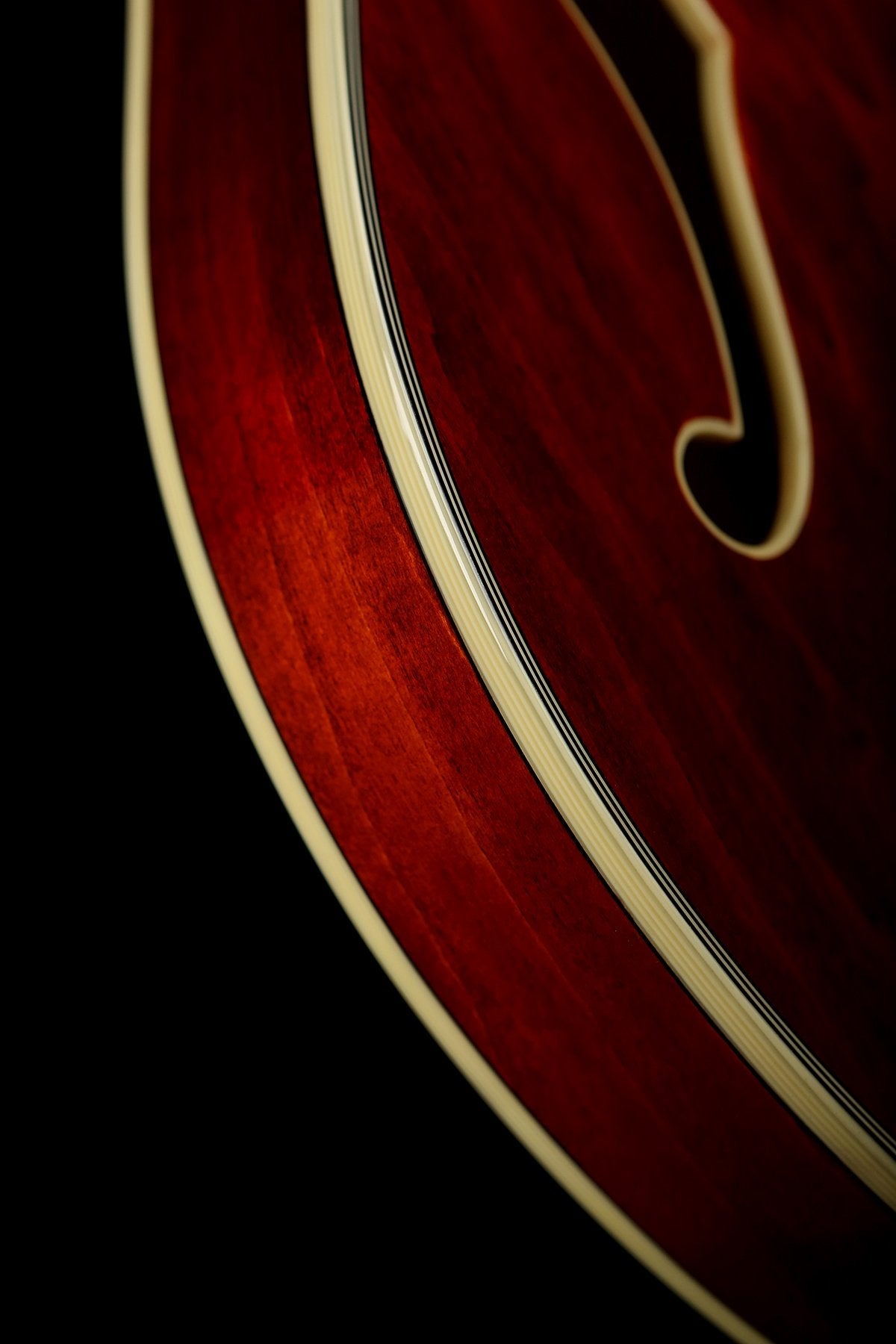 Eastman T386 Electric Guitar - Acoustic Centre Music Store, Melbourne Australia