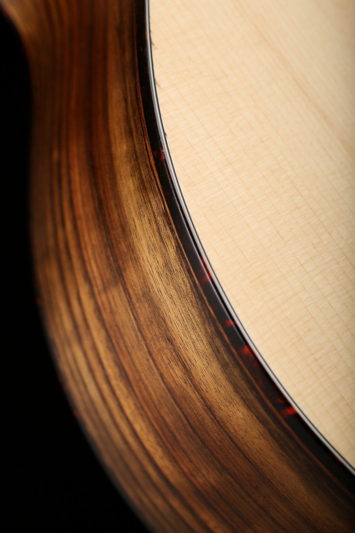 Eastman AC222CE Grand Auditorium Acoustic Electric Guitar - Acoustic Centre Music Store, Melbourne Australia