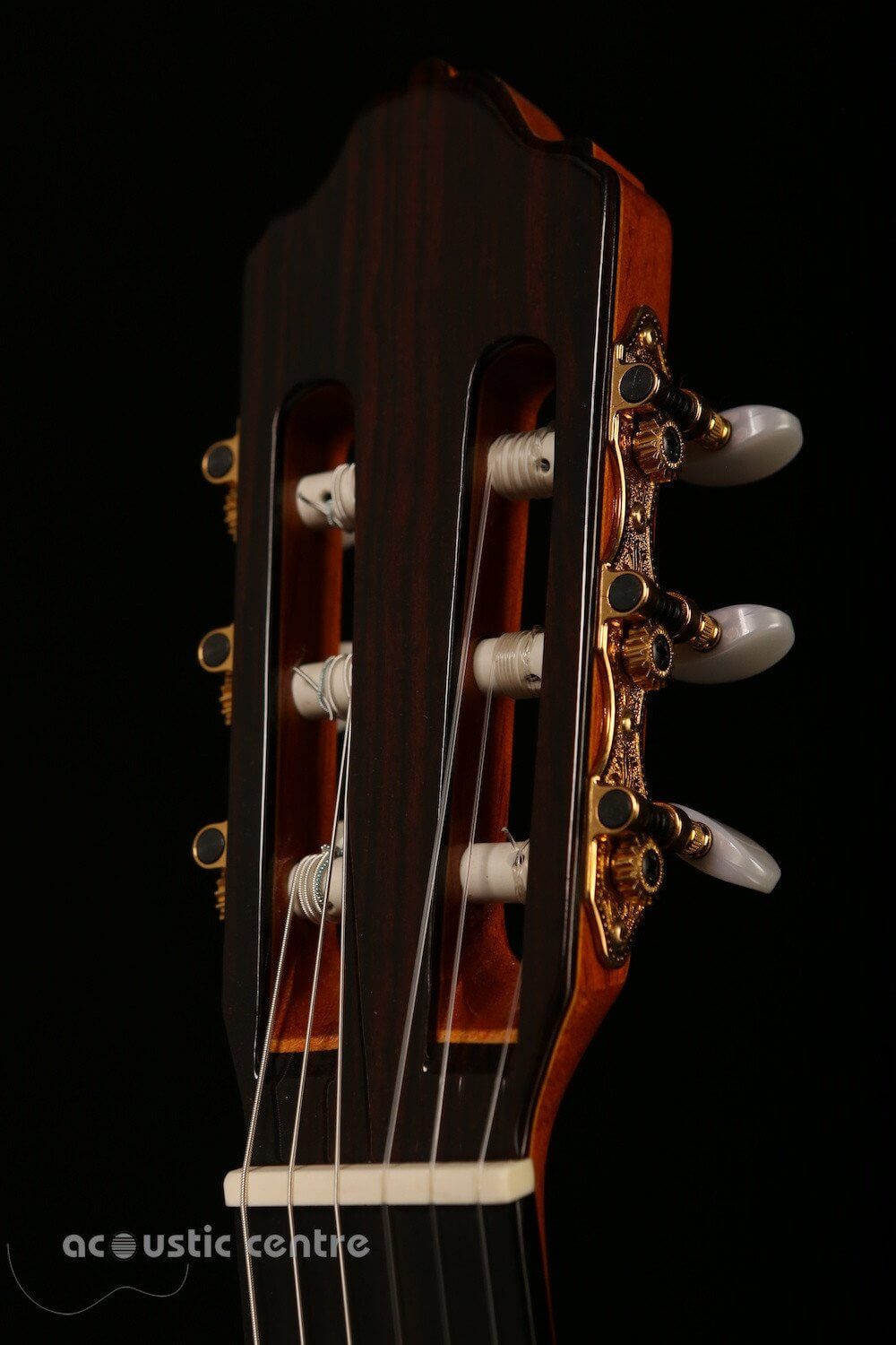 Esteve 9C/B Cedar Classical Guitar - Acoustic Centre Music Store, Melbourne Australia