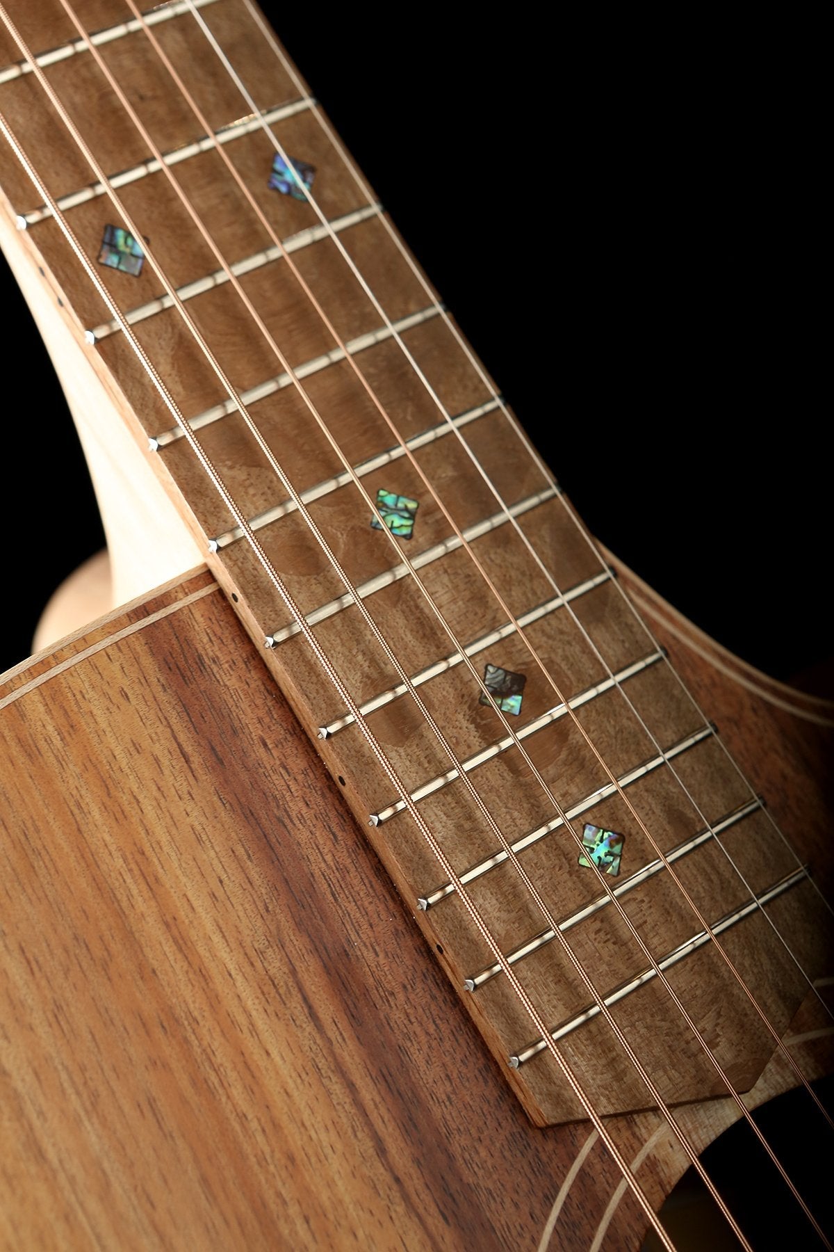 Cole Clark &#39;Fat Lady&#39; FL2EC Blackwood / Blackwood Humbucker Acoustic Electric Guitar - Acoustic Centre Music Store, Melbourne Australia