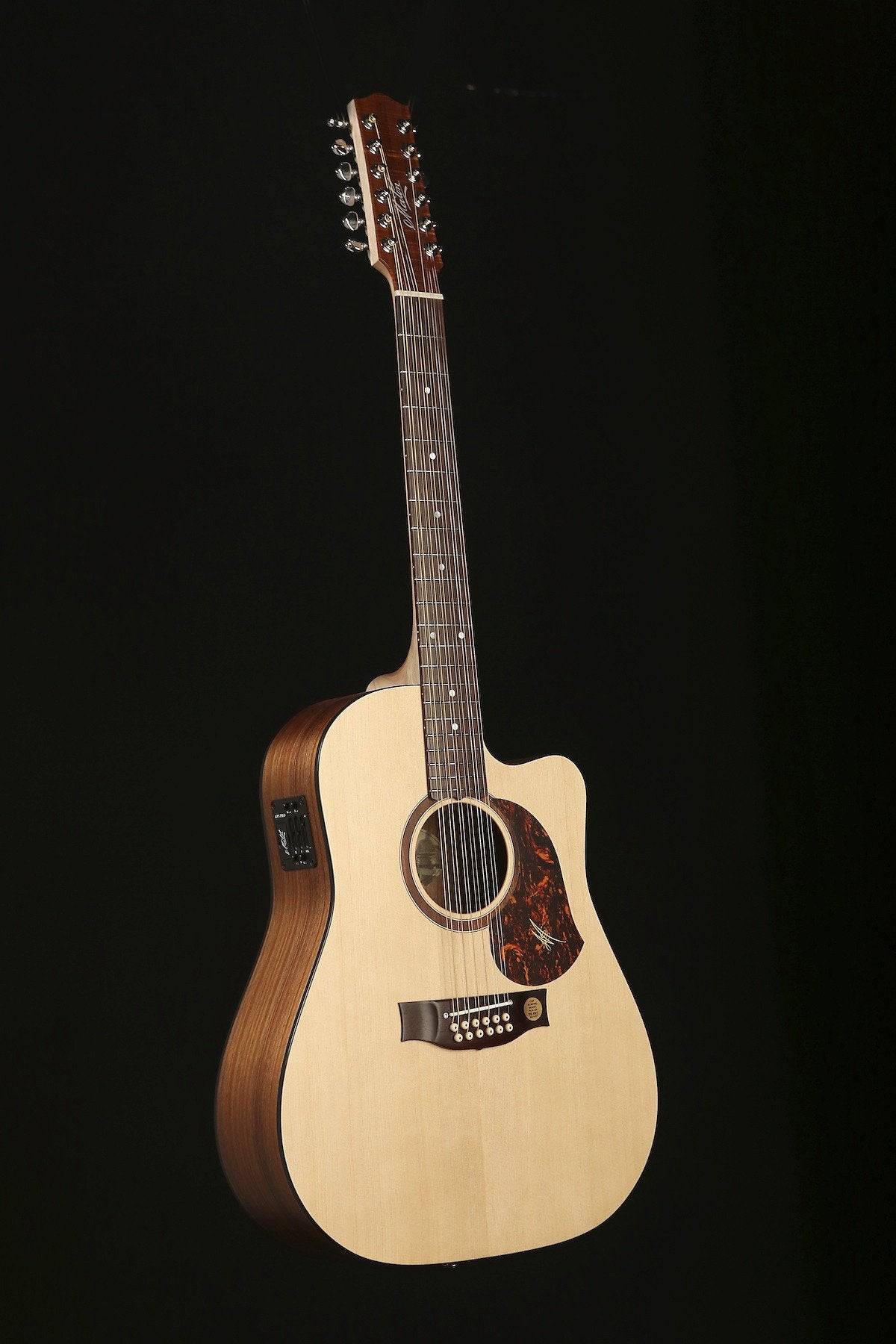 12-String Acoustic Guitars