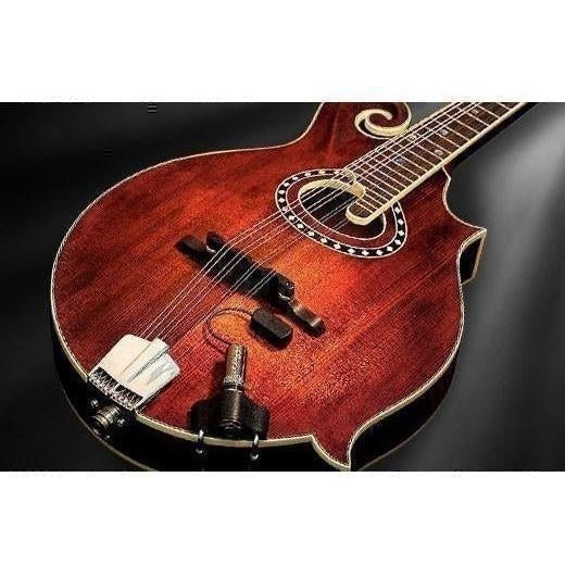 LR Baggs Radius Mandolin Pickup - Acoustic Centre Music Store, Melbourne Australia