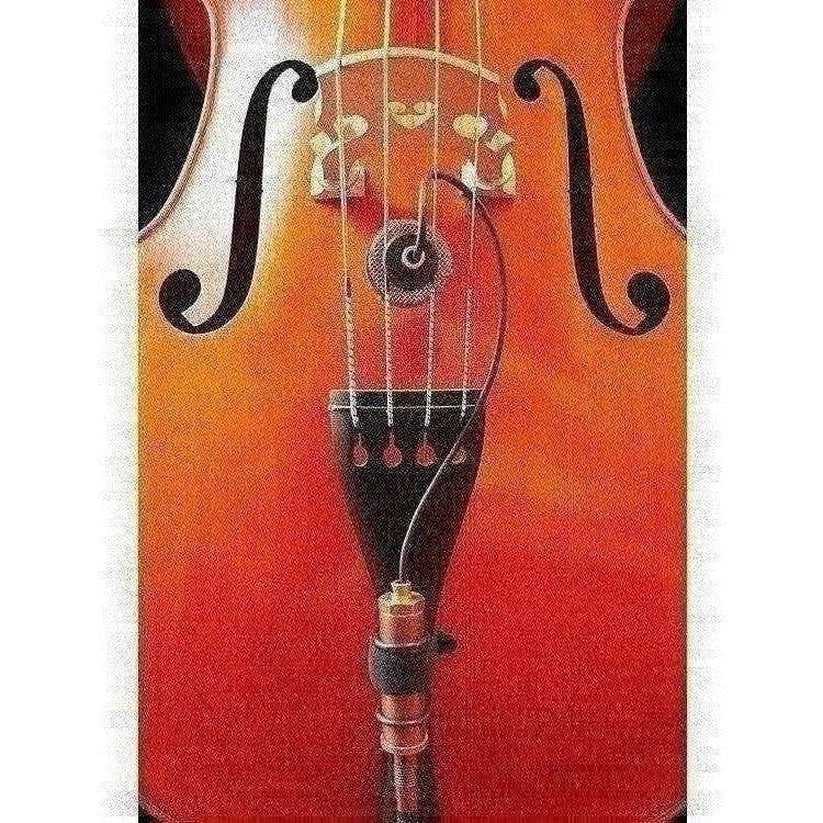 Ear Trumpet Labs Nadine Upright Bass Microphone - Acoustic Centre Music Store, Melbourne Australia